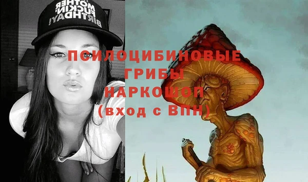 тгк Нея