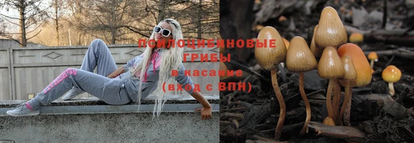 тгк Нея