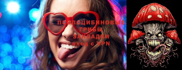 тгк Нея