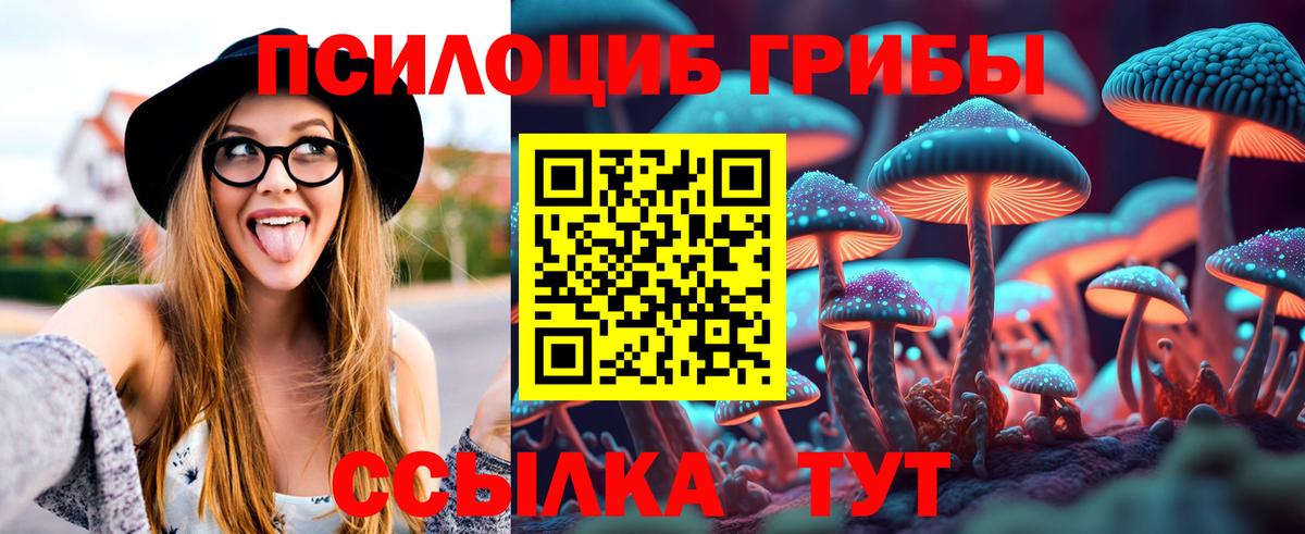 Уфа  Галлюциногенные грибы Cubensis  Вход с VPN 